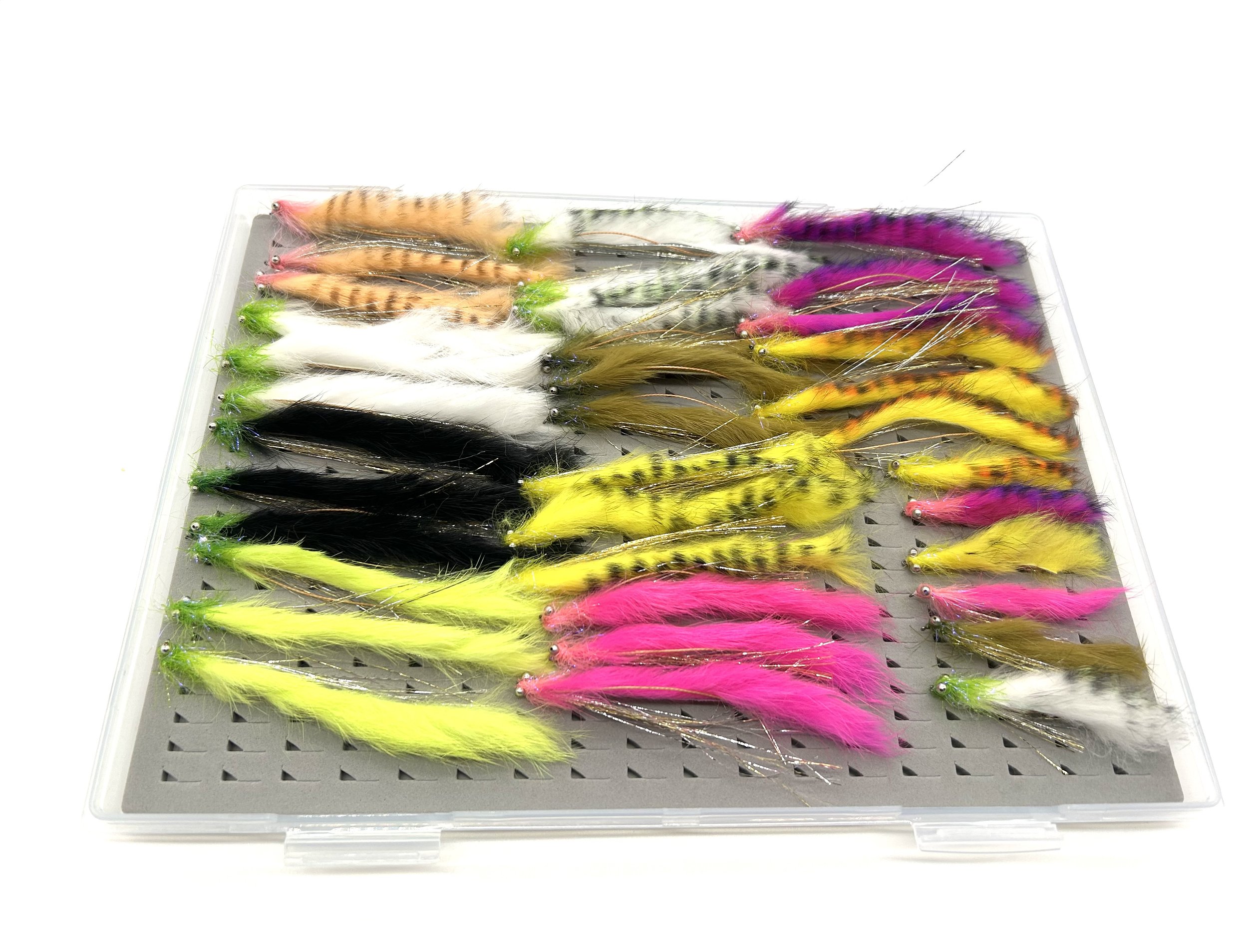 Box of 36 assorted Snake flies