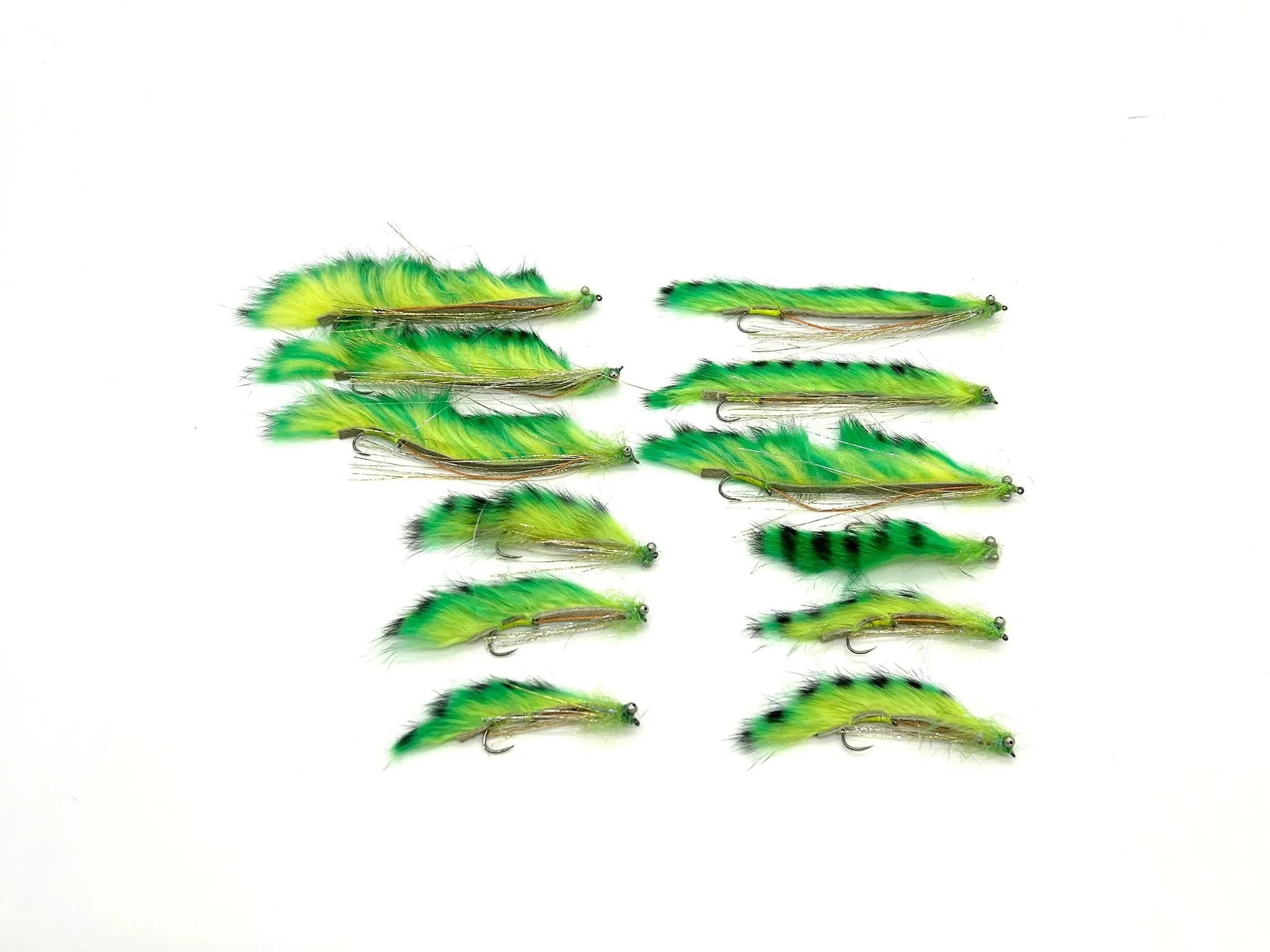 WhatsApp Image 2025-11-14 at 09.40.11.jpeg