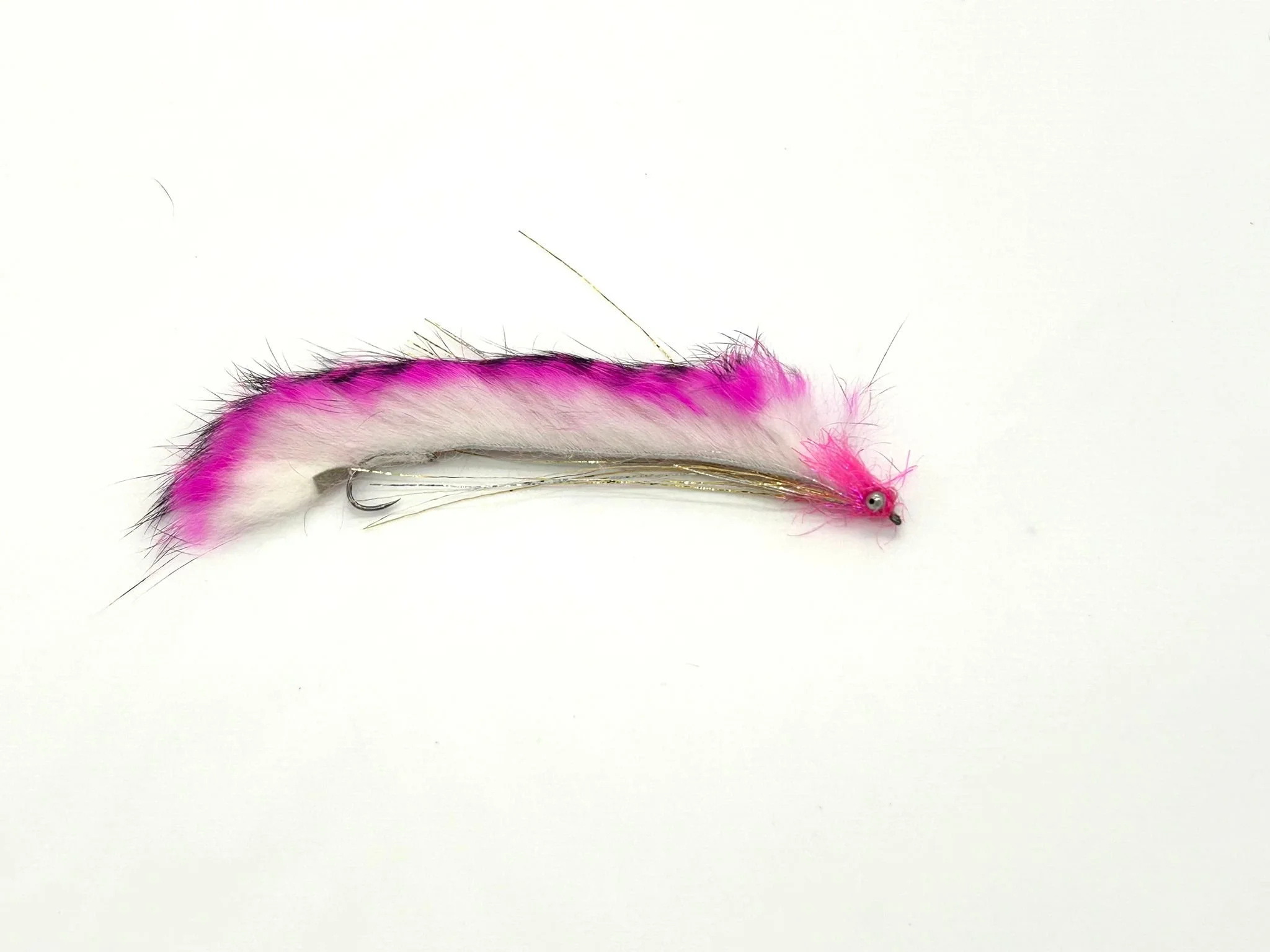 WhatsApp Image 2025-11-14 at 17.23.36.jpeg