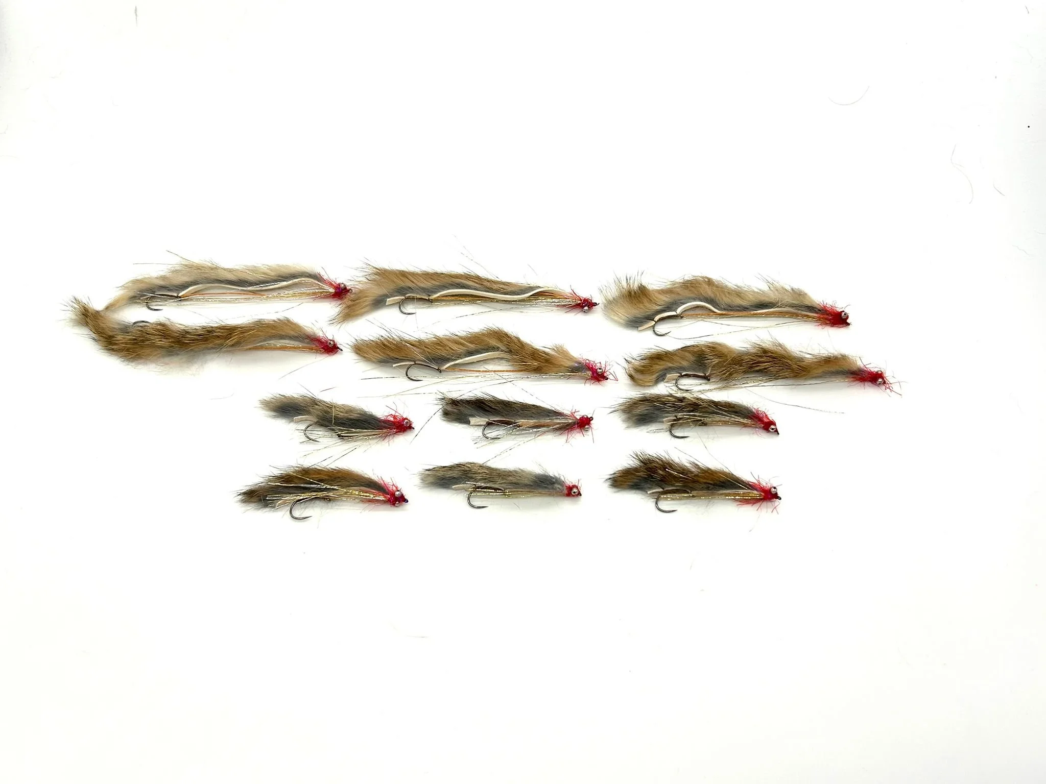 WhatsApp Image 2025-11-15 at 14.58.59.jpeg