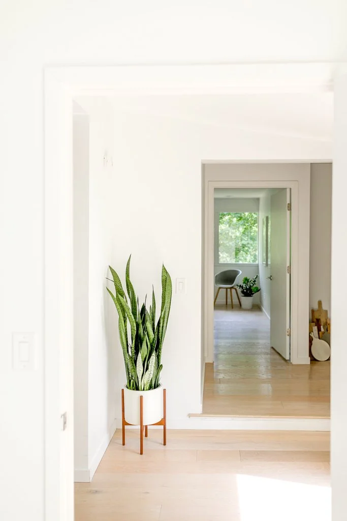 4423 Pine Tree Trail WEB-37.jpg