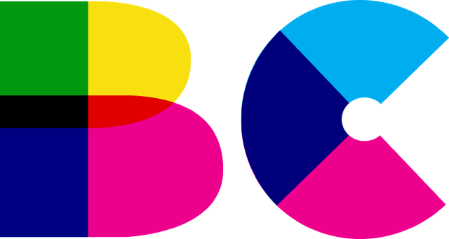 BRANDON CURRY REAL ESTATE