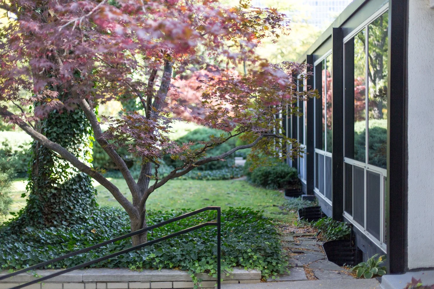 MiesVDR House -1.jpg