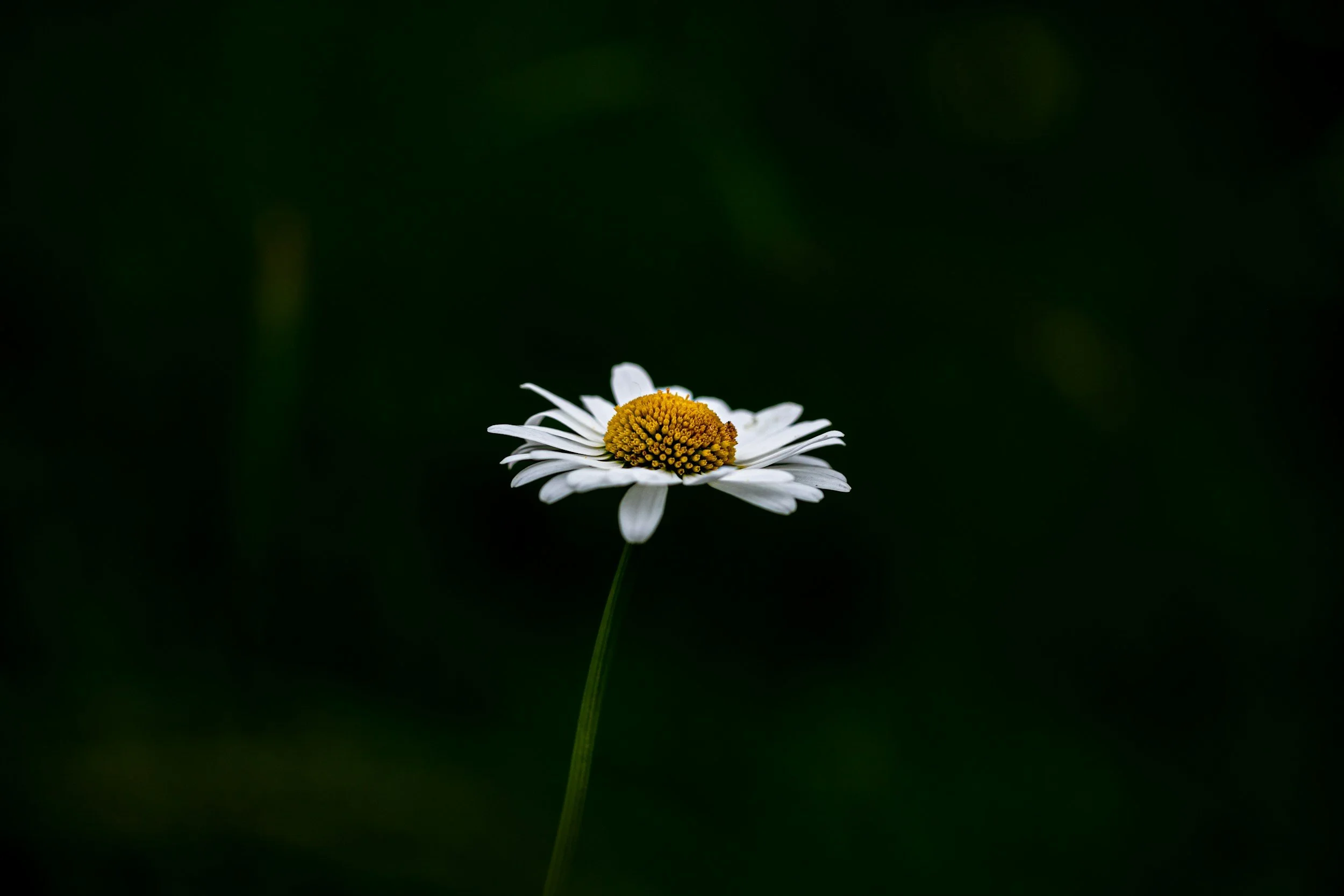 Person meditating in the sunlight