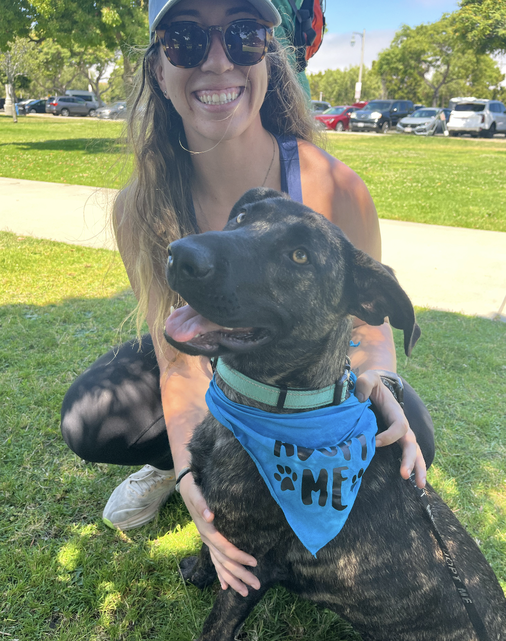 Screenshot 2026-01-09 at 12.02.03 PM.png