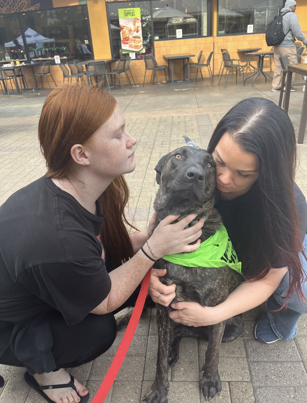 Screenshot 2026-01-08 at 12.22.50 PM.png