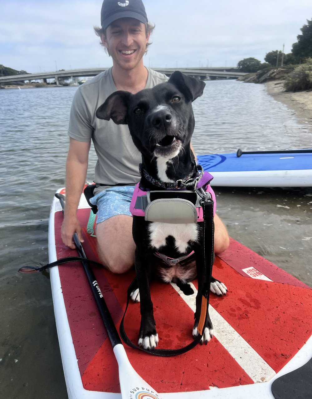 Screenshot 2026-01-08 at 12.28.24 PM.png