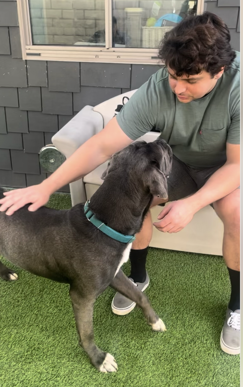 Screenshot 2026-01-08 at 12.26.07 PM.png