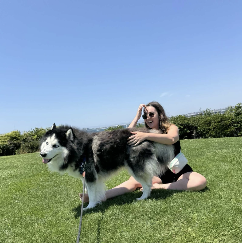 Screenshot 2026-01-08 at 12.56.03 PM.png