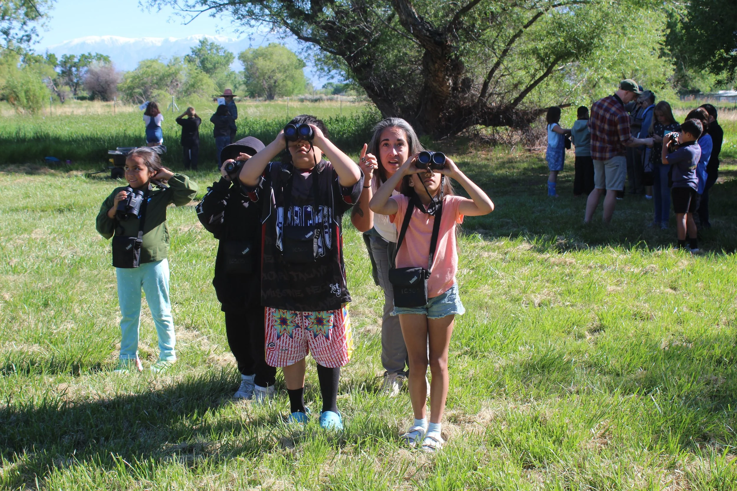 Third Graders Go Birding with the Eastern Sierra Birding Alliance