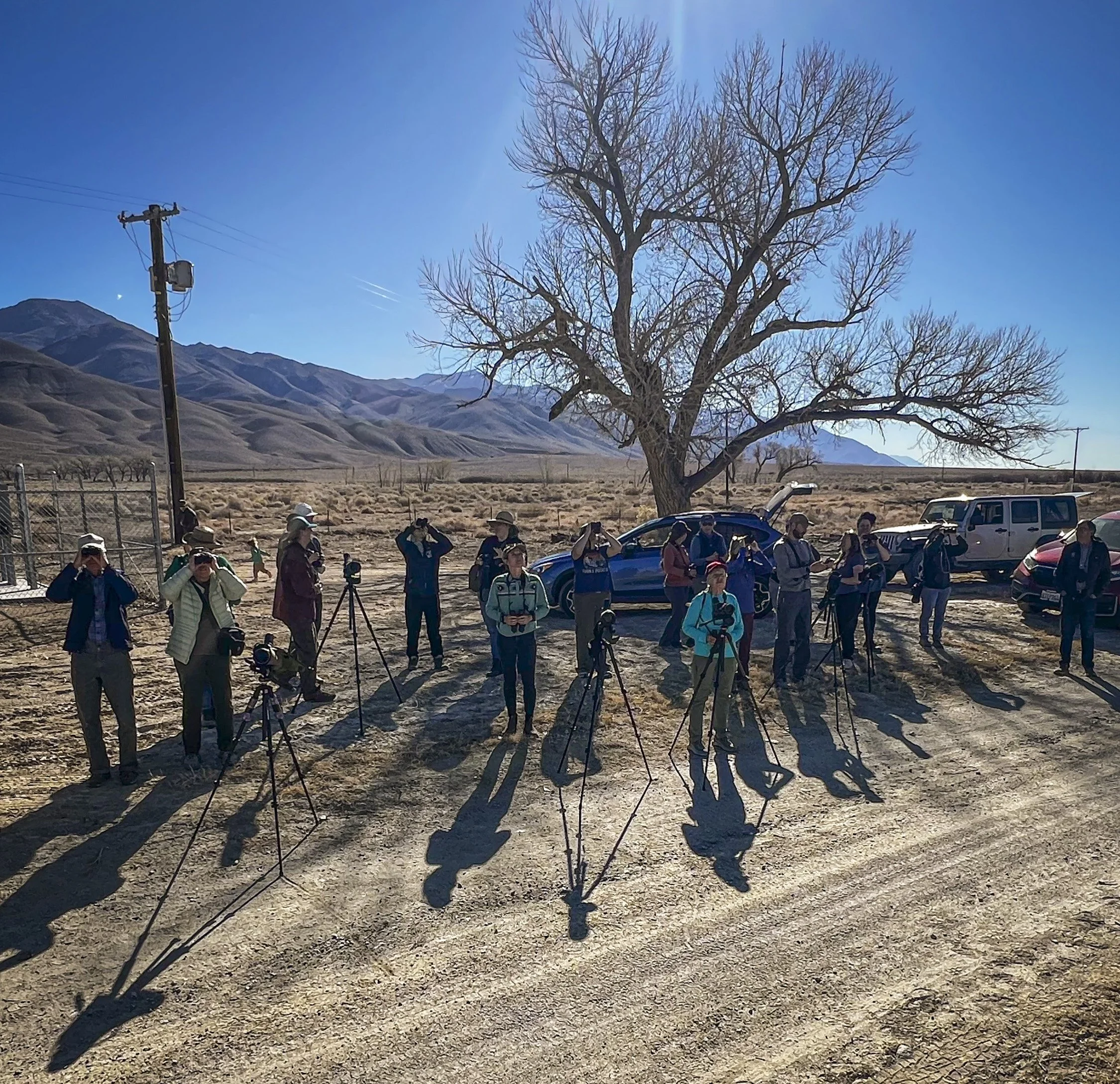 Breeding Raptors and the California Bird Atlas
