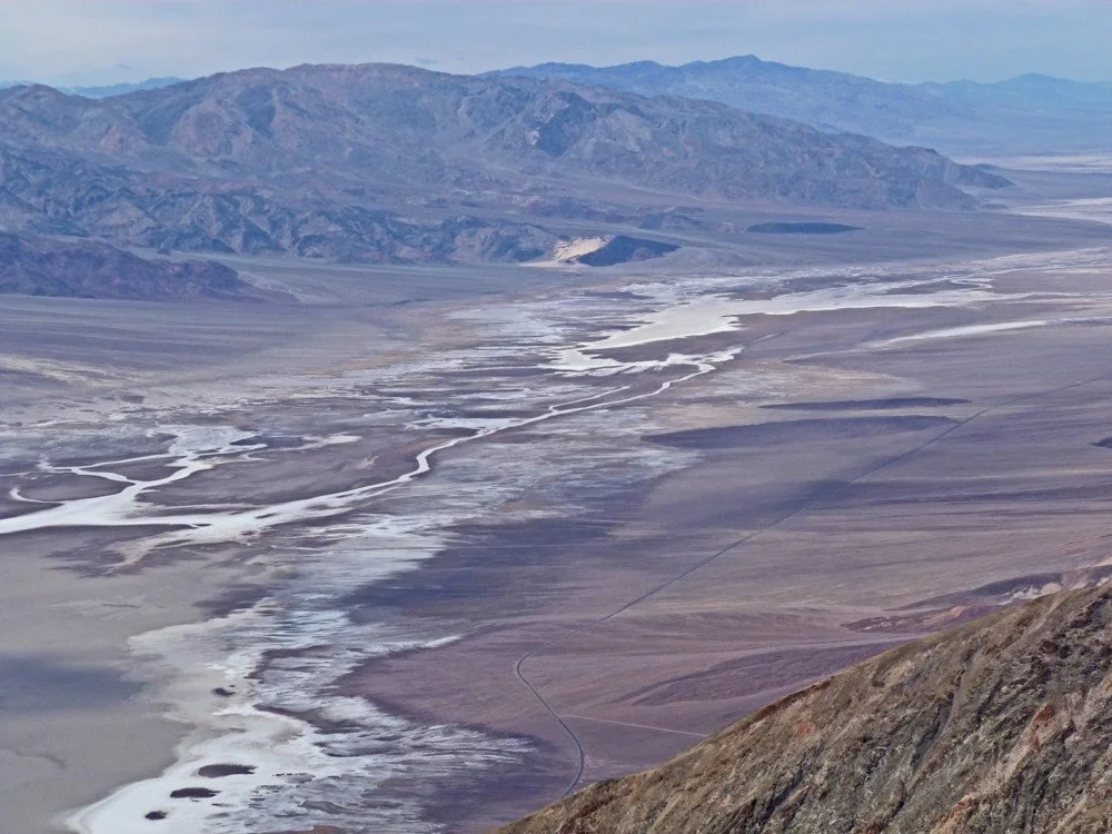 Strategies for Wildlife Living in the Desert