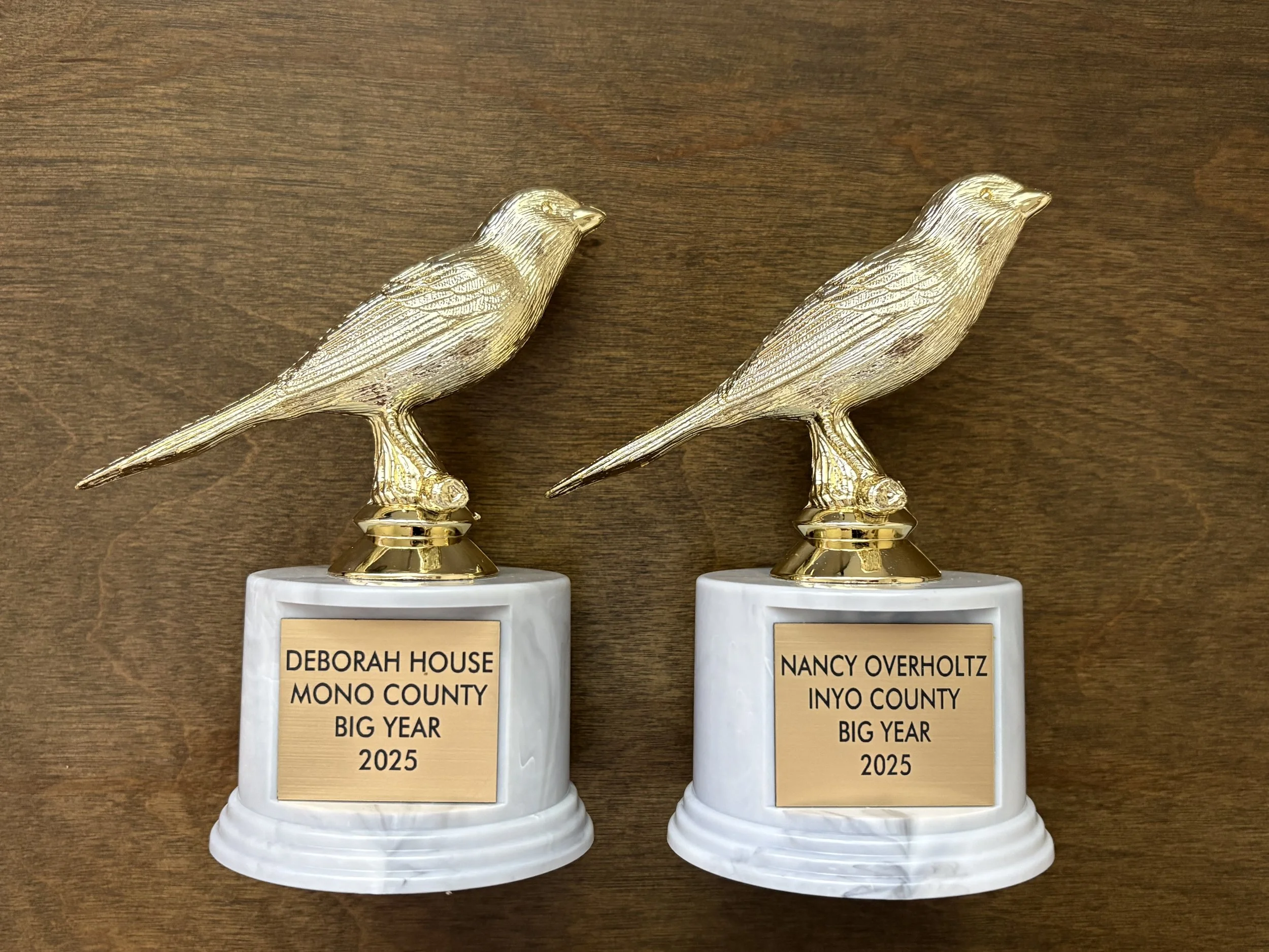 2025 Golden Finch Award Winners Talk About Birding