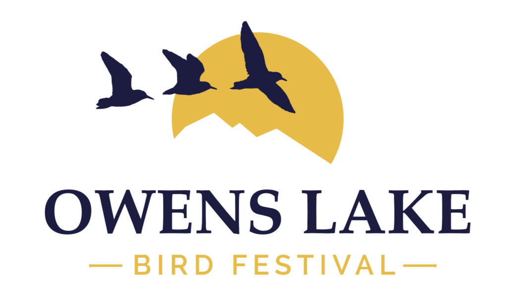 Owens Lake Bird Festival