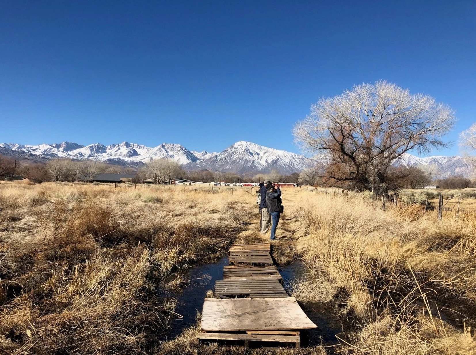 birding at the Bishop Conservation Open Space Area