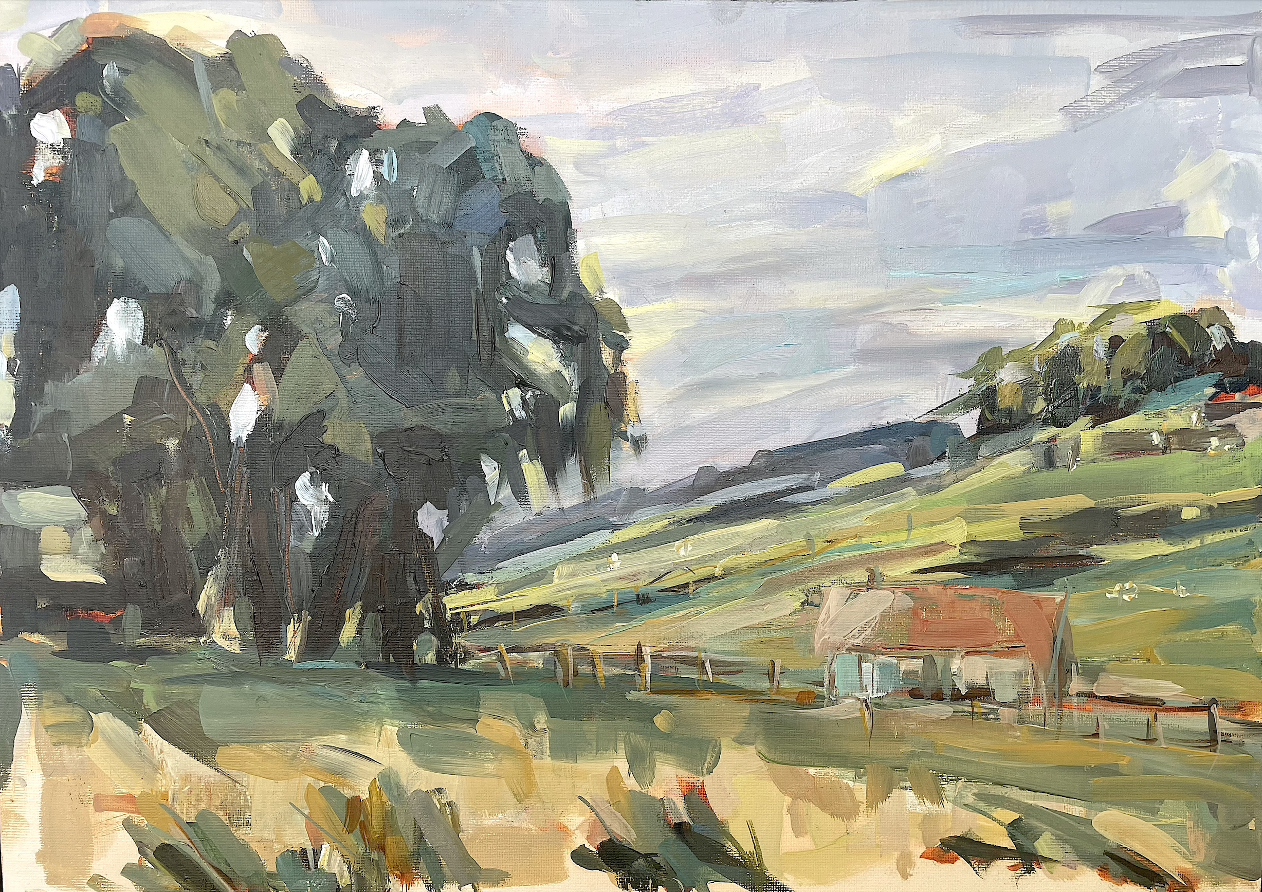 Valley and Tree study.