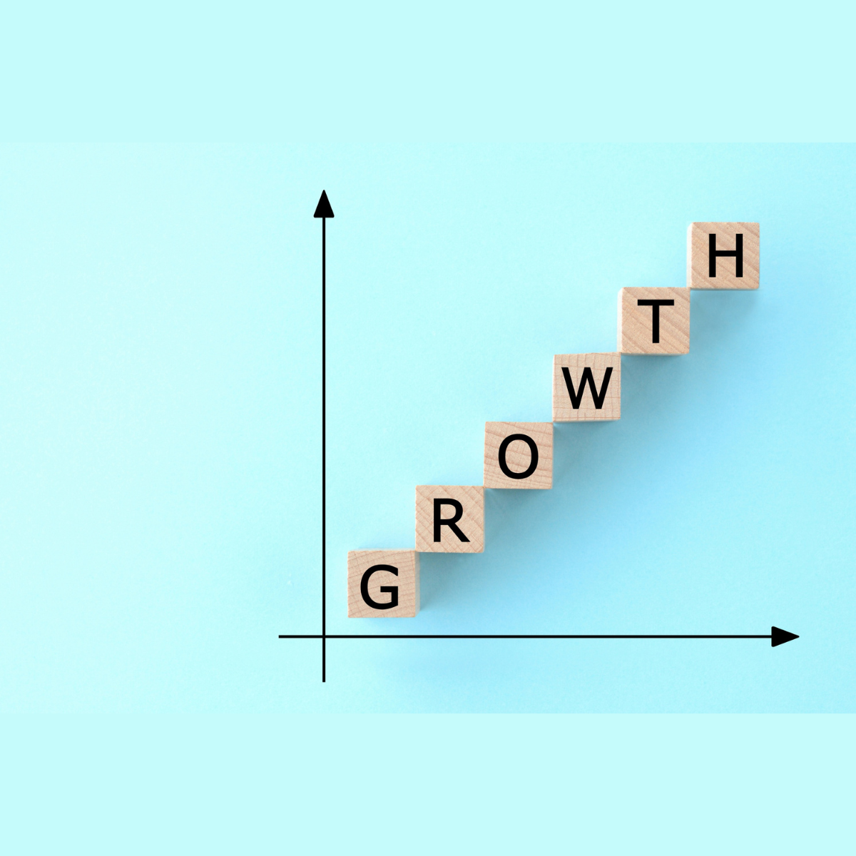 Smart Capital Strategies: Borrowing, Structuring, and Scaling Wisely