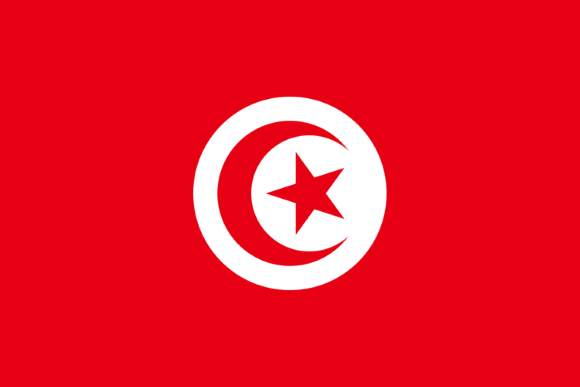 Military Power Rankings flag of Tunisia