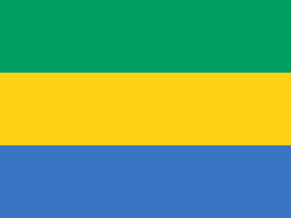 Military Power Rankings flag of Gabon