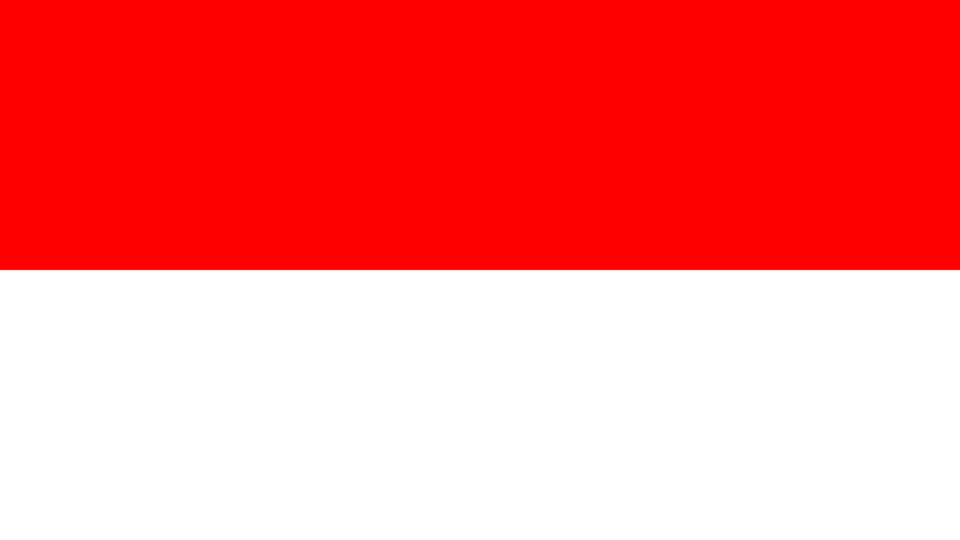 Military Power Rankings flag of Indonesia
