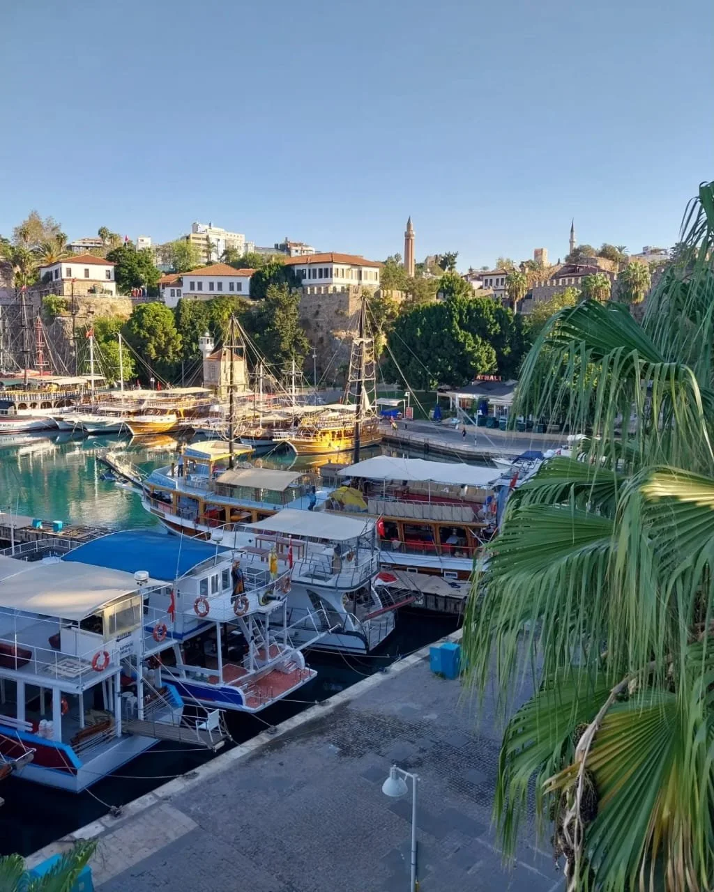 WhatsApp Image 2024-11-18 at 17.34.58 (1).jpeg