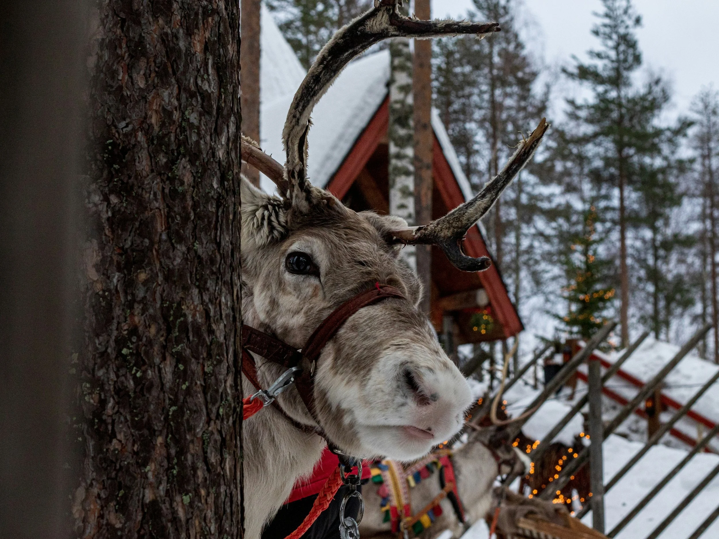 Rovaniemi, the capital of Lapland