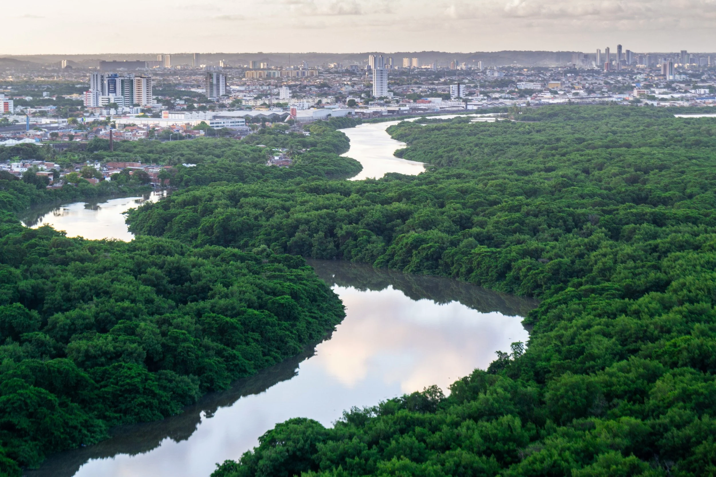 Recife 3 by Thiago Japyassu.jpg