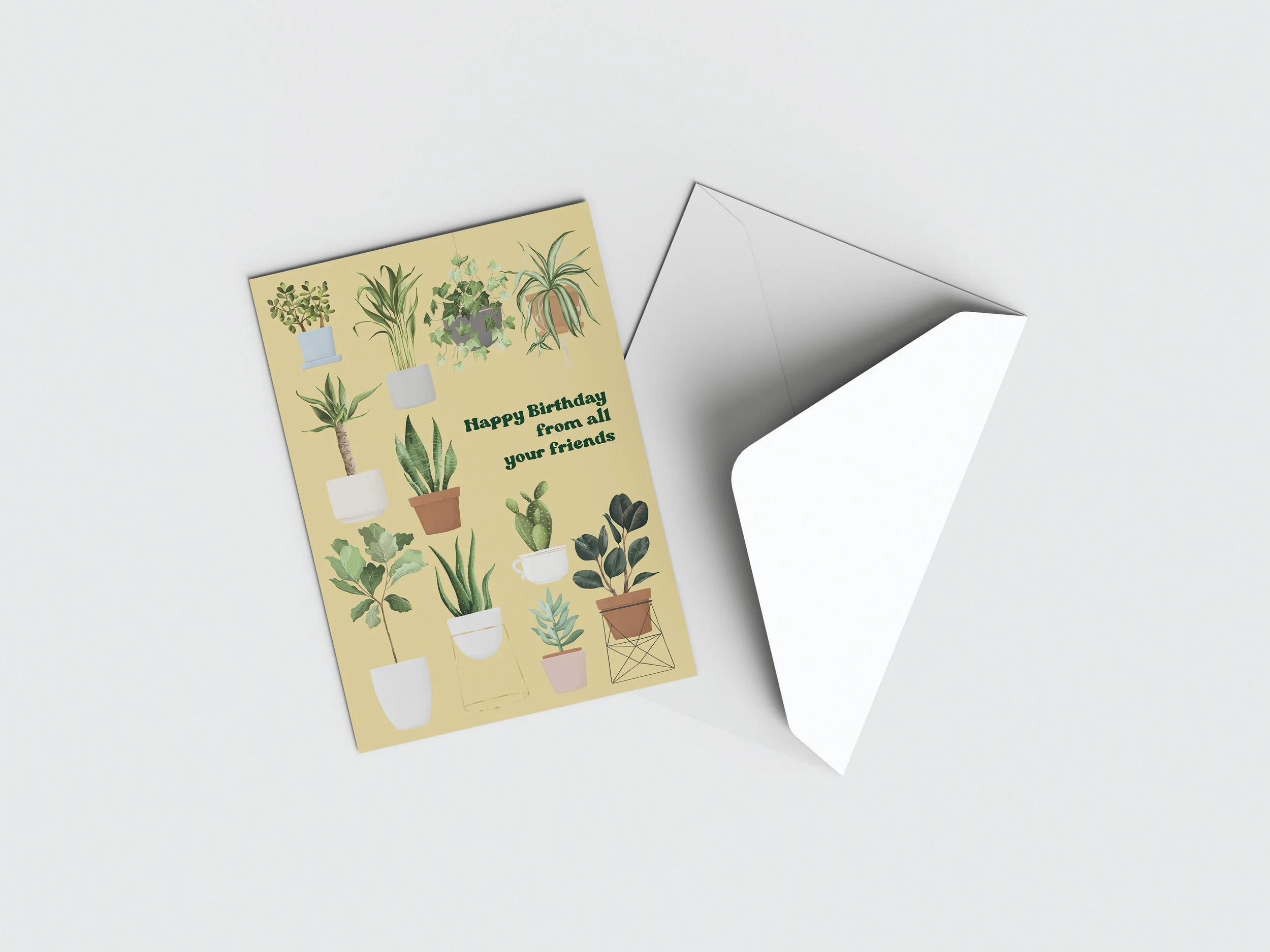 Birthday — Plant Friends