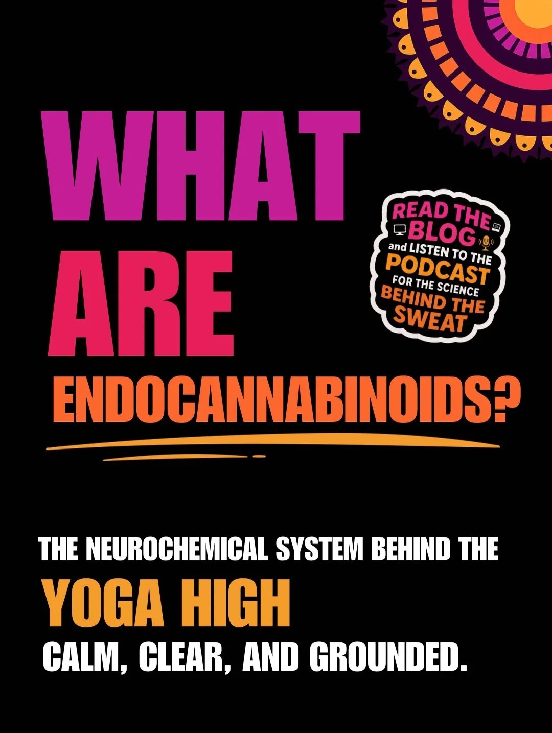 THE &ldquo;YOGA HIGH&rdquo; IS REAL &mdash; AND IT&rsquo;S NOT JUST ENDORPHINS.

That calm, clear, grounded feeling after hot yoga?
It has a name.

👉 ANANDAMIDE &mdash; often called the bliss molecule.

It&rsquo;s an endocannabinoid your body produc