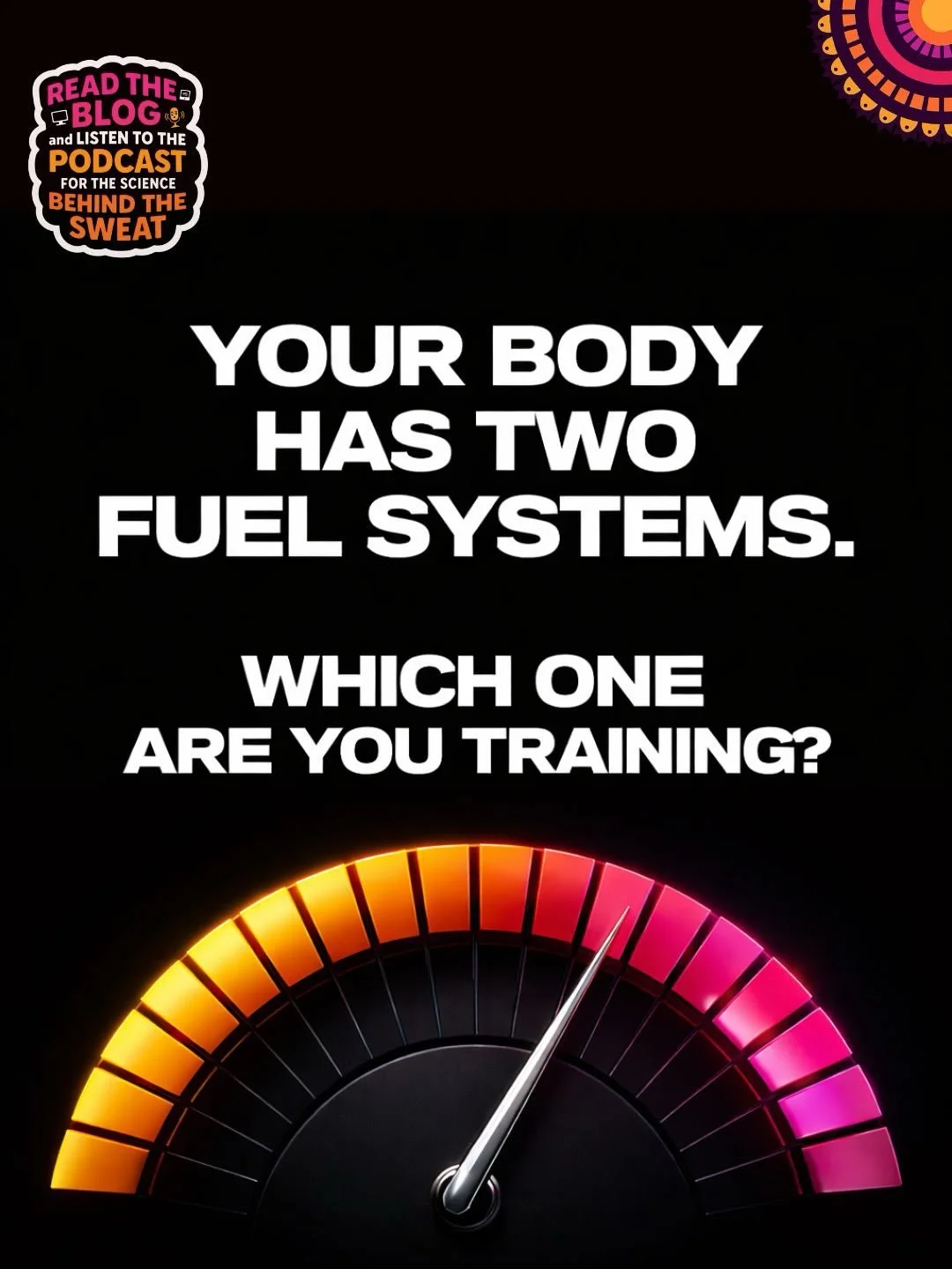 Your body runs on two primary fuel systems:

&bull; Fat oxidation (uses oxygen, supports endurance, burns fat)
&bull; Glycogen dominance (higher intensity, fast energy, carb-driven)

Most workouts only train one.

At 99&deg;F, your heart rate climbs 