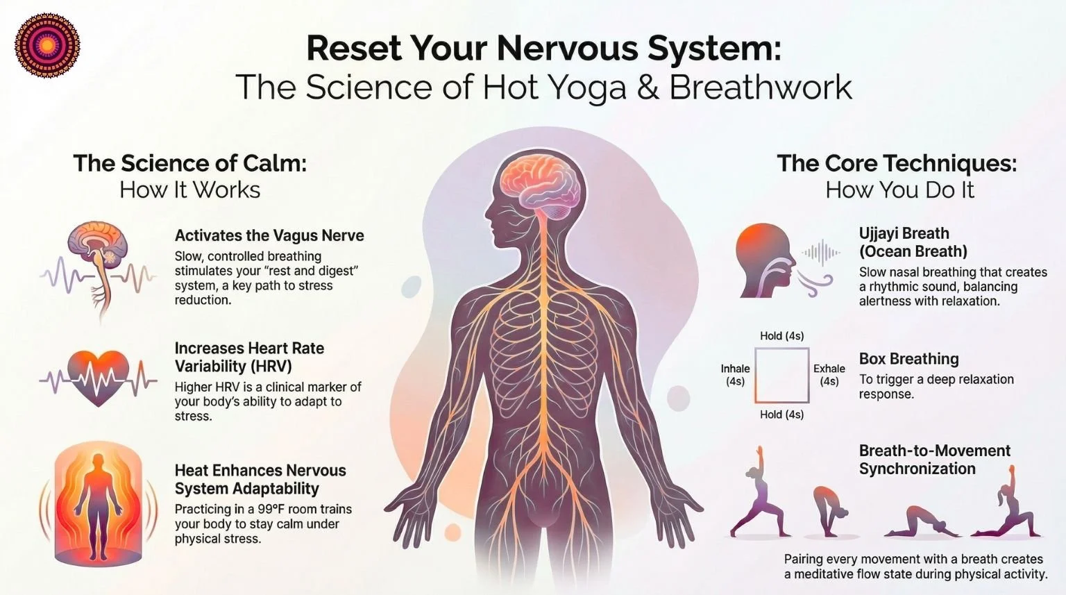 https://images.squarespace-cdn.com/content/v1/67043d5fd25538273d4f04f1/9259ca09-43e2-45f9-9116-f9a43b211a50/Breathwork%2BBasics%2BInfographic.jpg