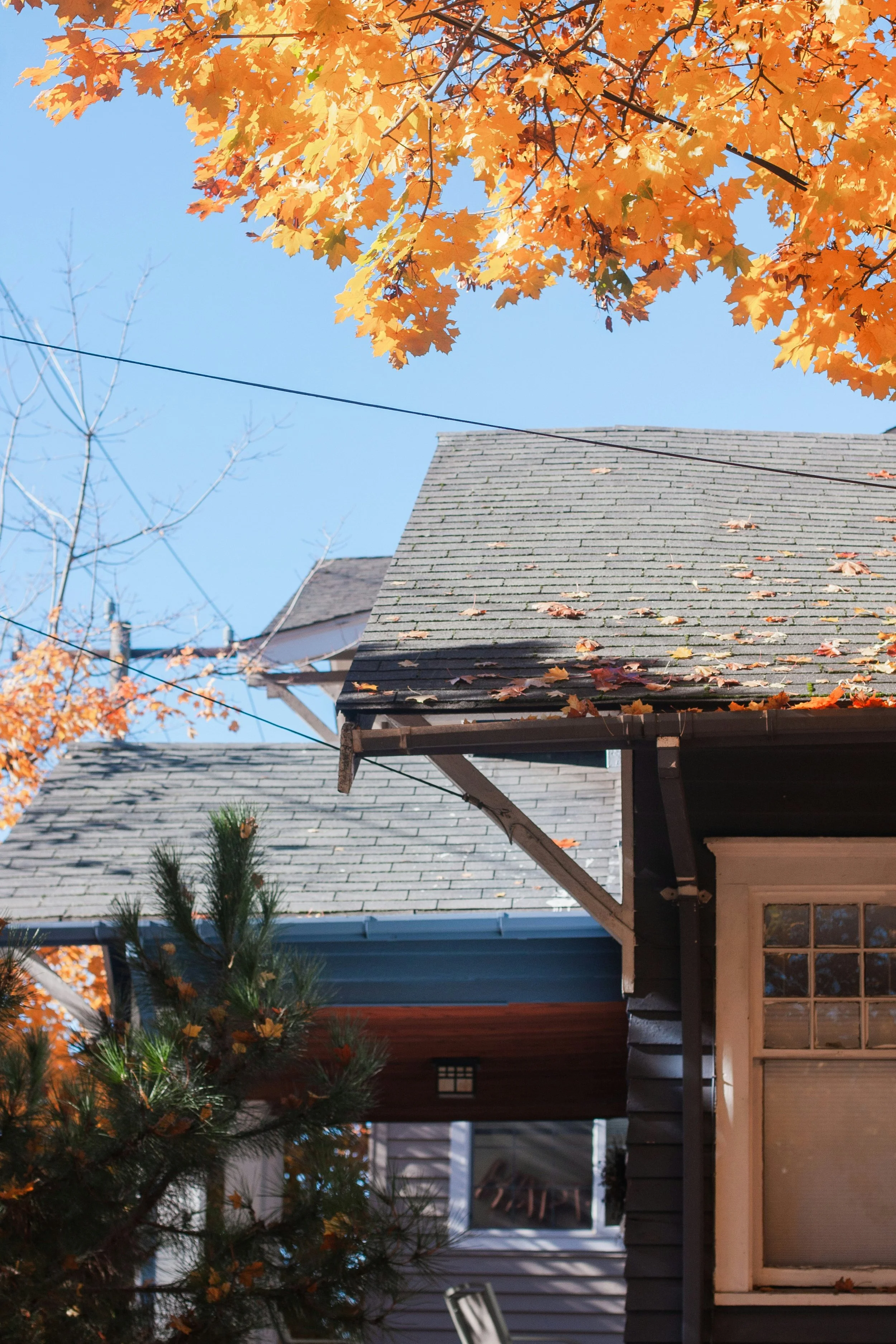 Is Your Missouri Home Ready for Fall? Why Exterior Surfaces Need Cleaning Before Winter