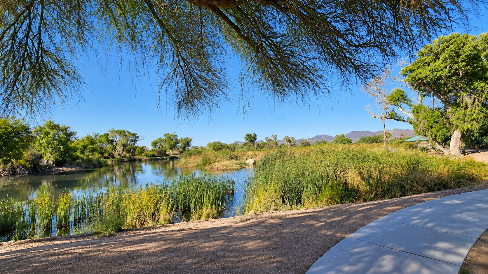 Wildlife habitat walking paths and birdwatching wetlands at Sweetwater Wetlands Park in Marana Oro Valley Tucson Arizona