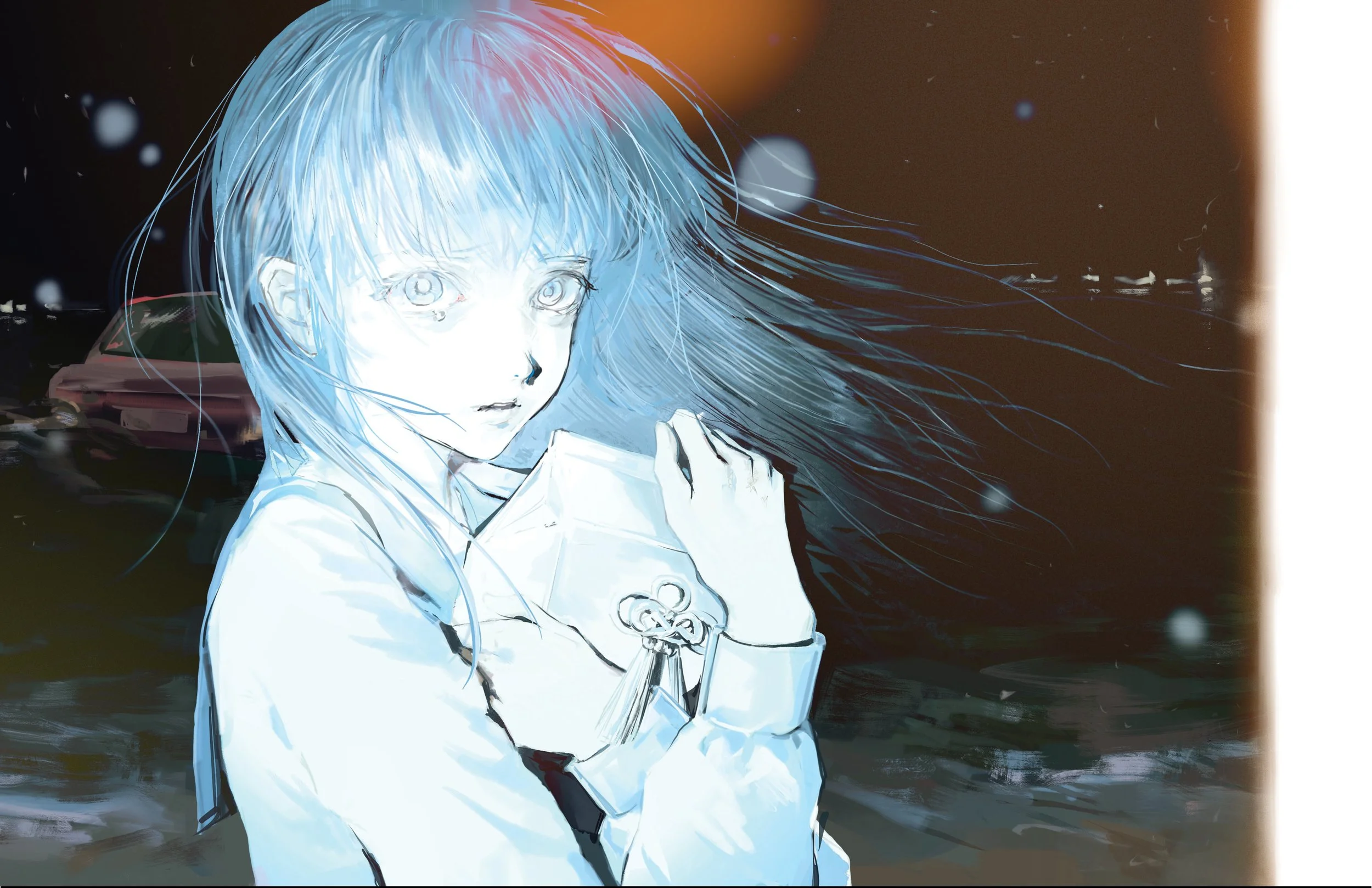 thesis book pictures10.jpg