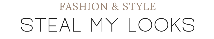 Text reading 'Fashion & Style' and 'Steal My Looks' in a minimalist design.