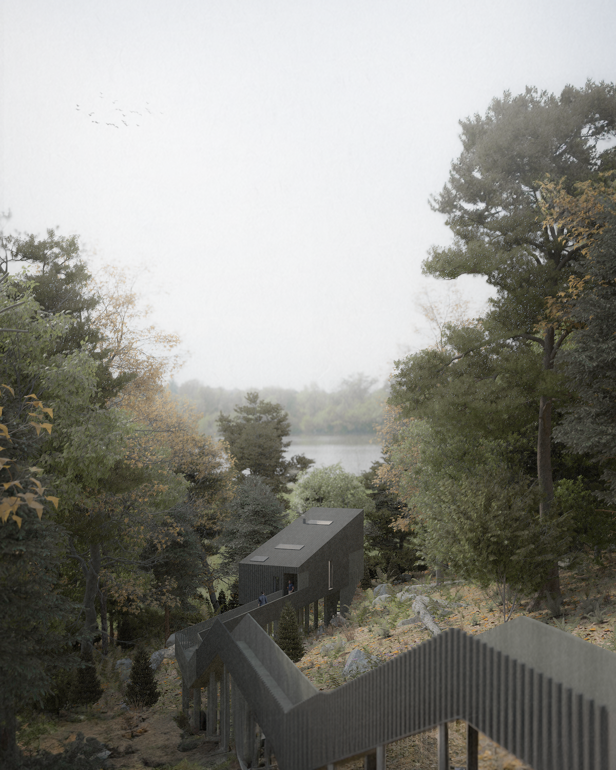 The Forest Treehouse