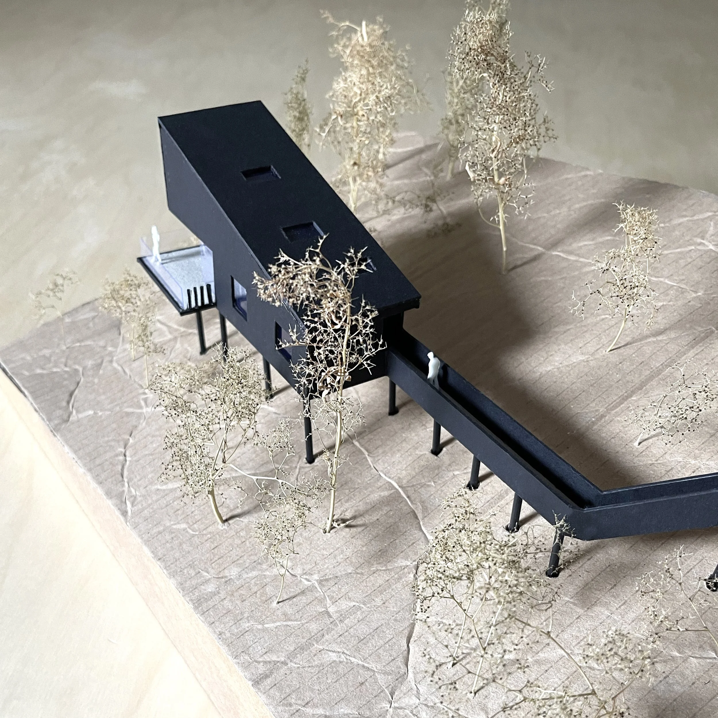 Architectural study model highlighting the irregular timber supports designed to minimise disturbance to the woodland floor.
