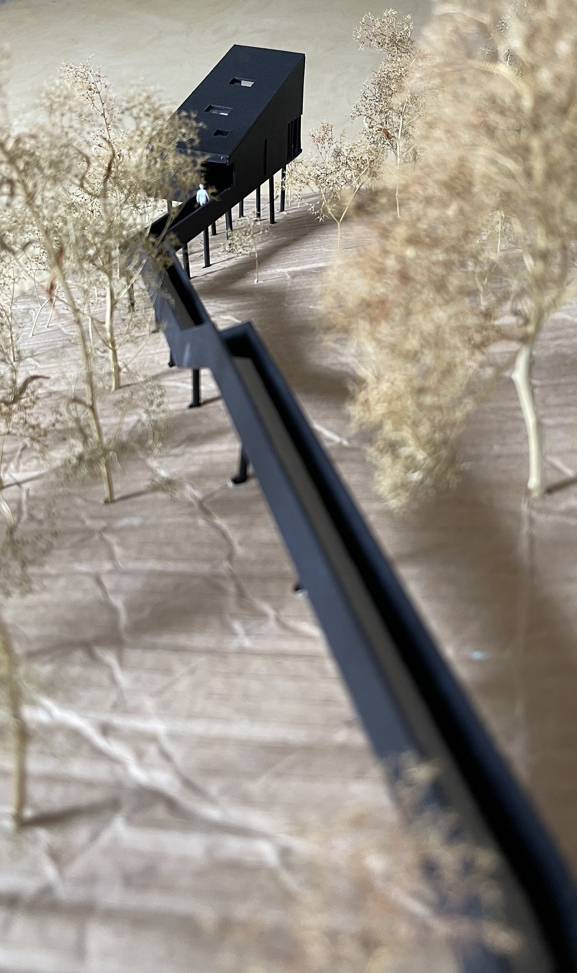 Hand-built architectural model exploring the elevated timber structure and integration within the steep woodland site.