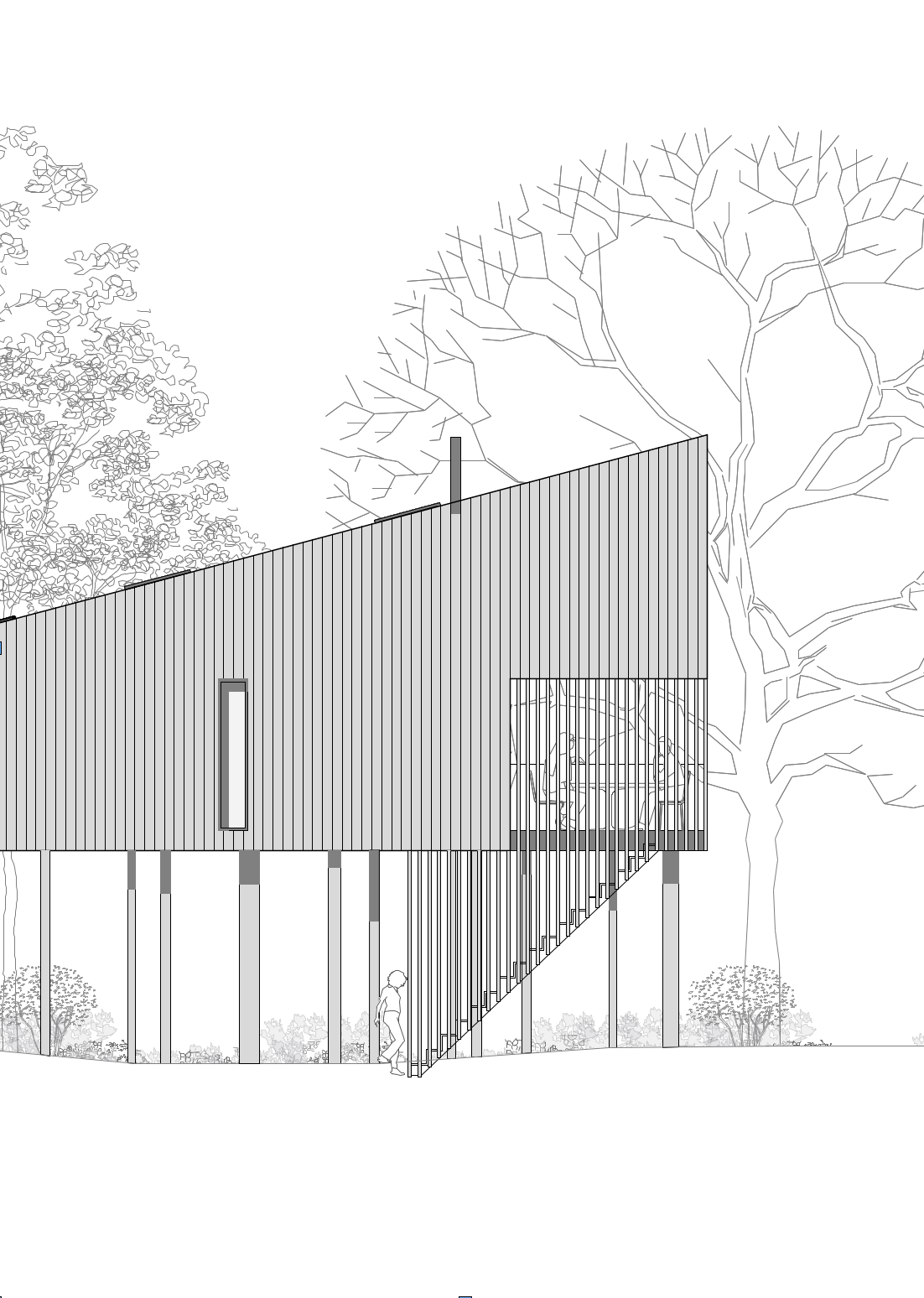 Digital architectural linework showing the timber-supported treehouse and serpentine access route through the forest.