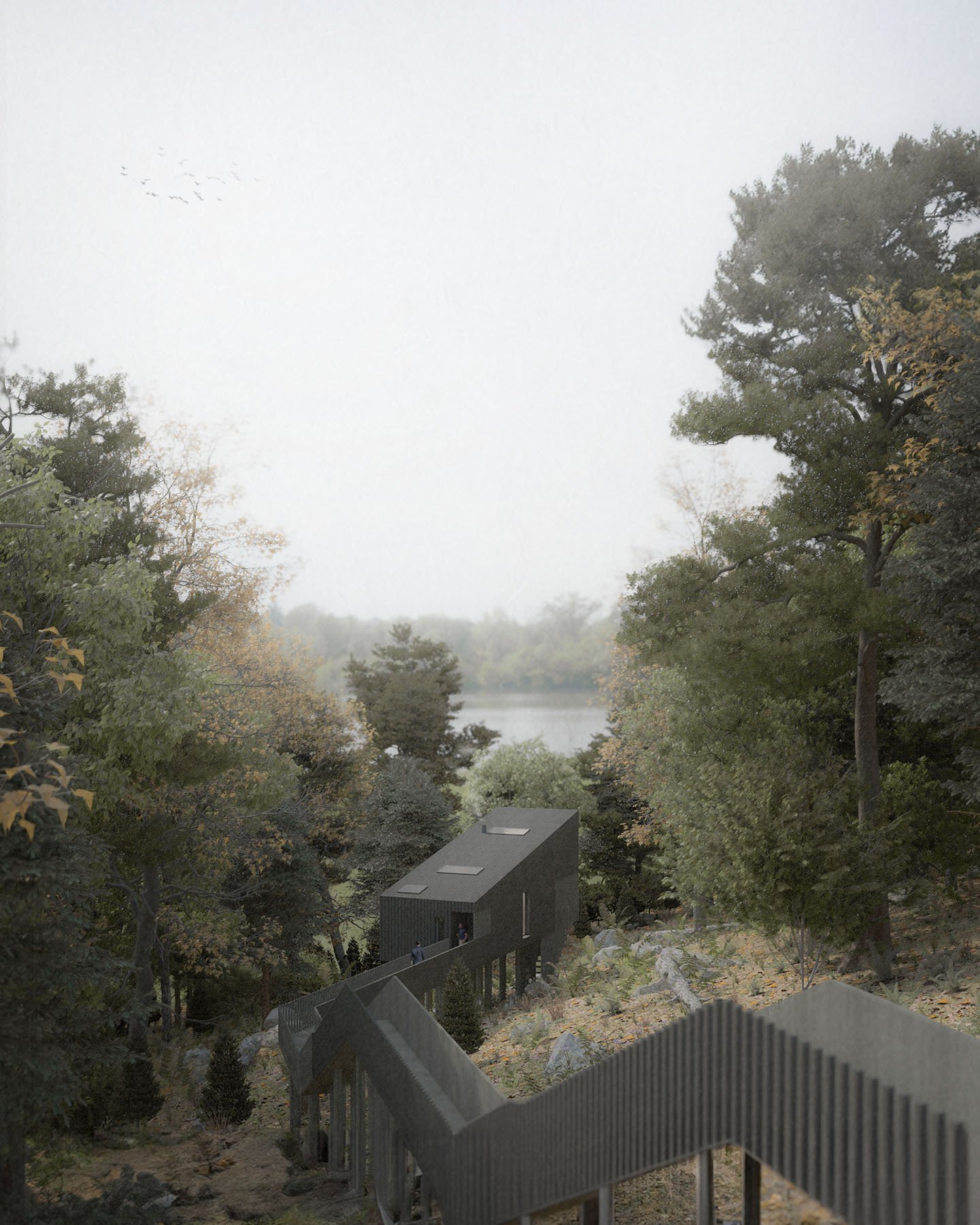 Architectural render of The Forest Treehouse suspended among woodland trees overlooking the Severn Estuary.