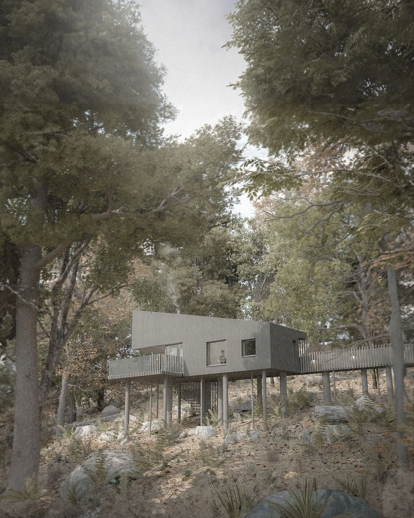 Exterior visualisation of the secluded forest retreat with open terrace immersed in the surrounding landscape.