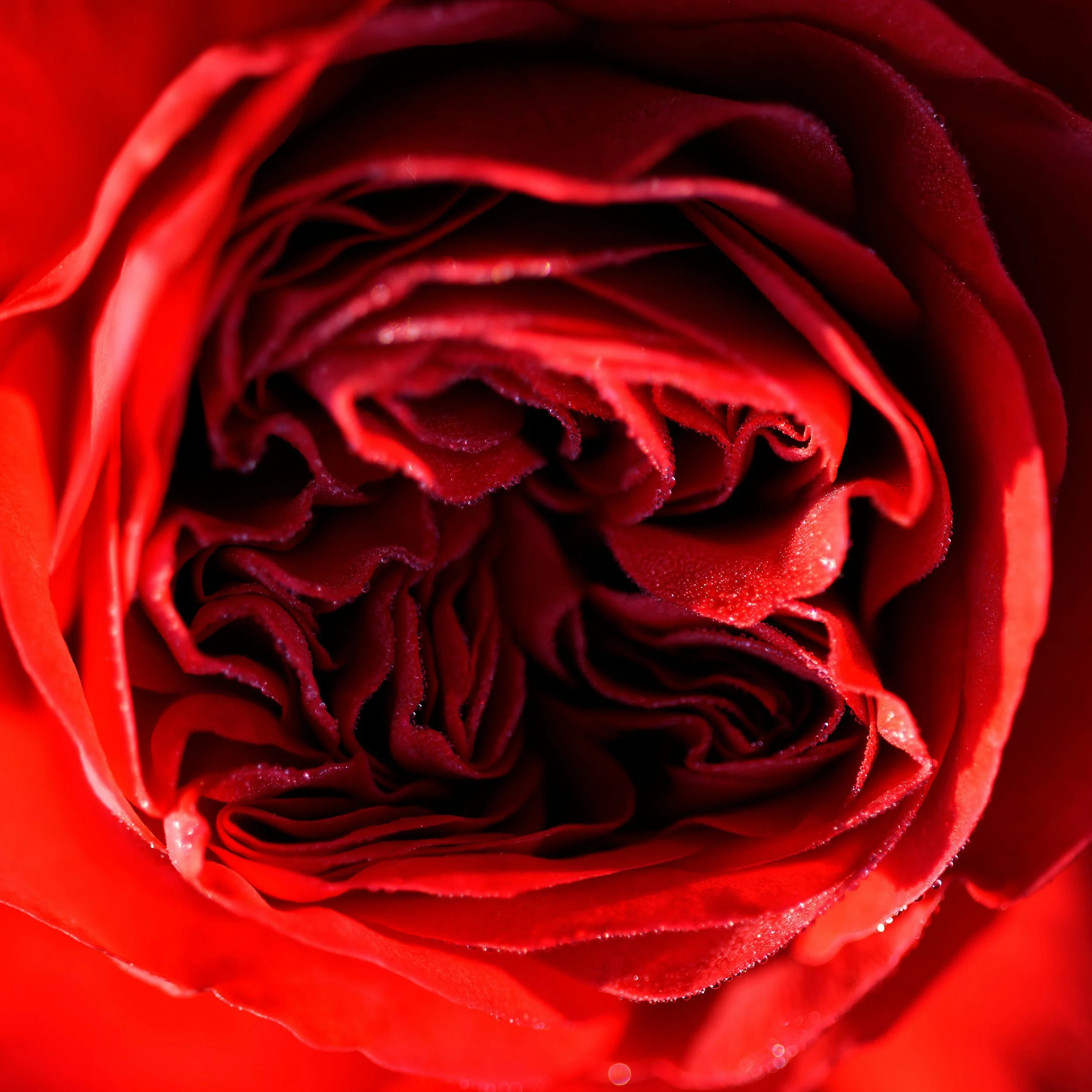 unsplash-image-MTArppKj05A.jpg