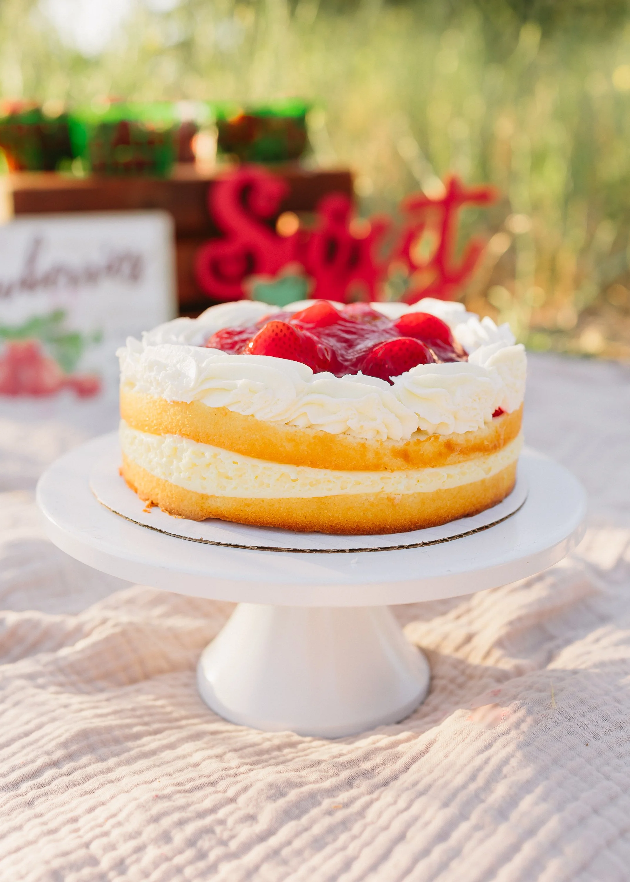 smashcakephotosfolsomca-1567.jpg