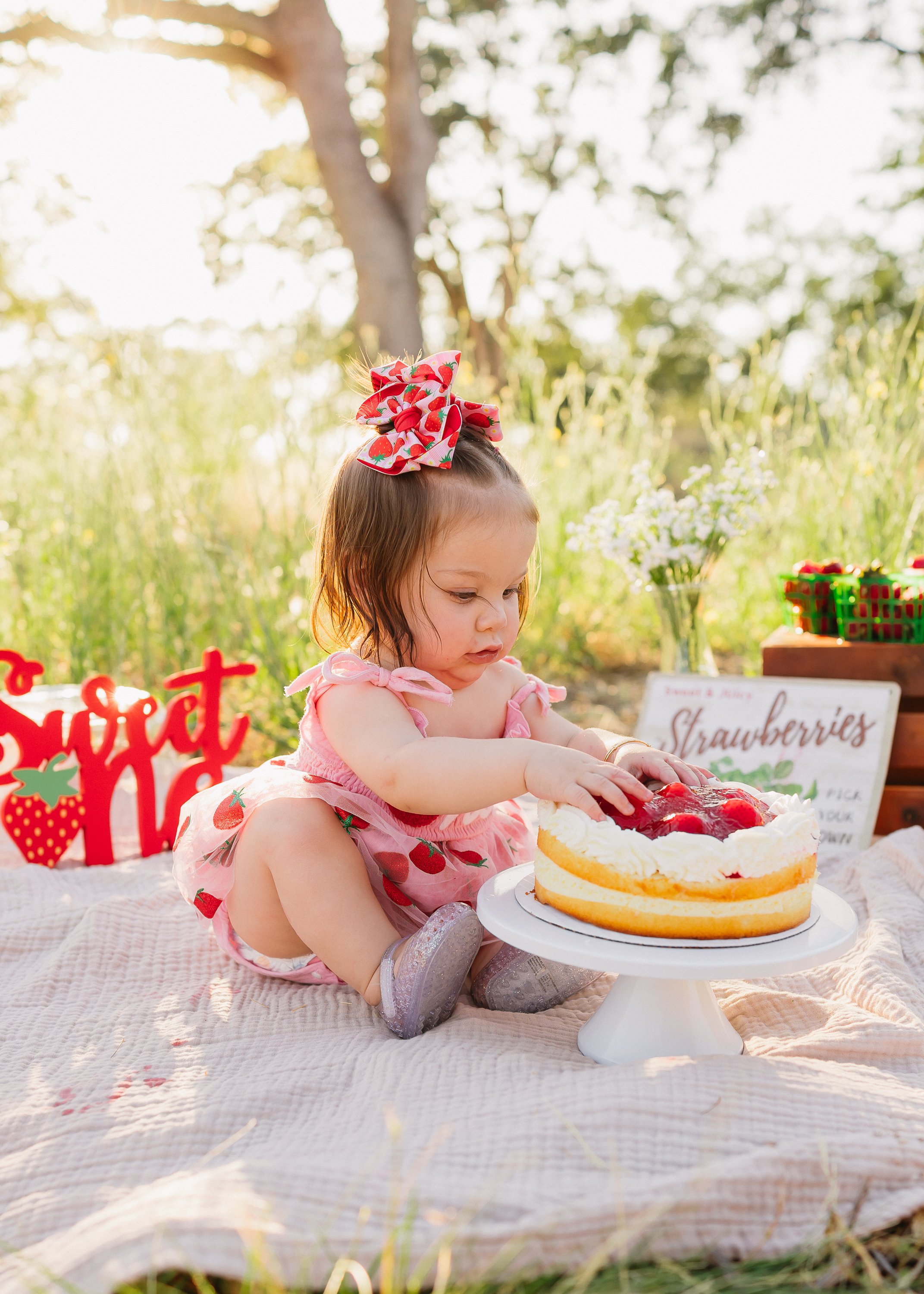smashcakephotosfolsomca-1583.jpg
