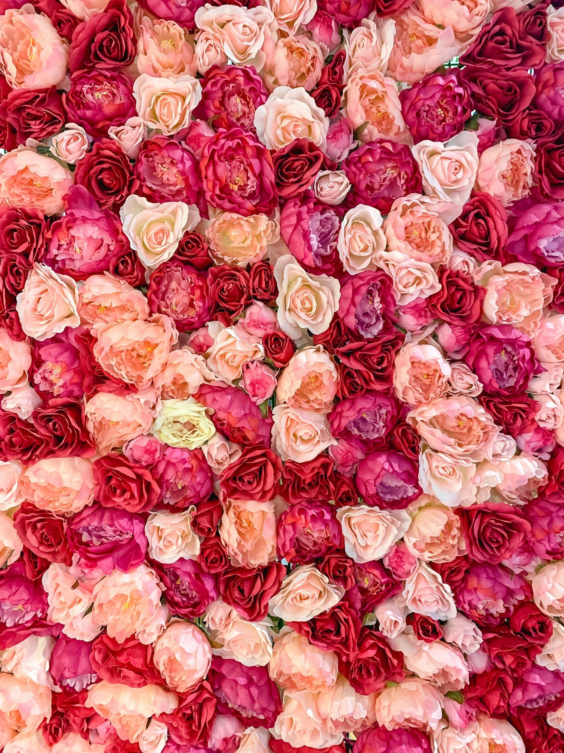 Flower wall backdrop