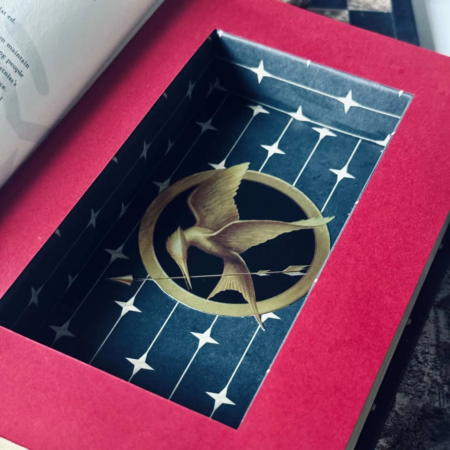 Hunger Games_Close Up.jpg