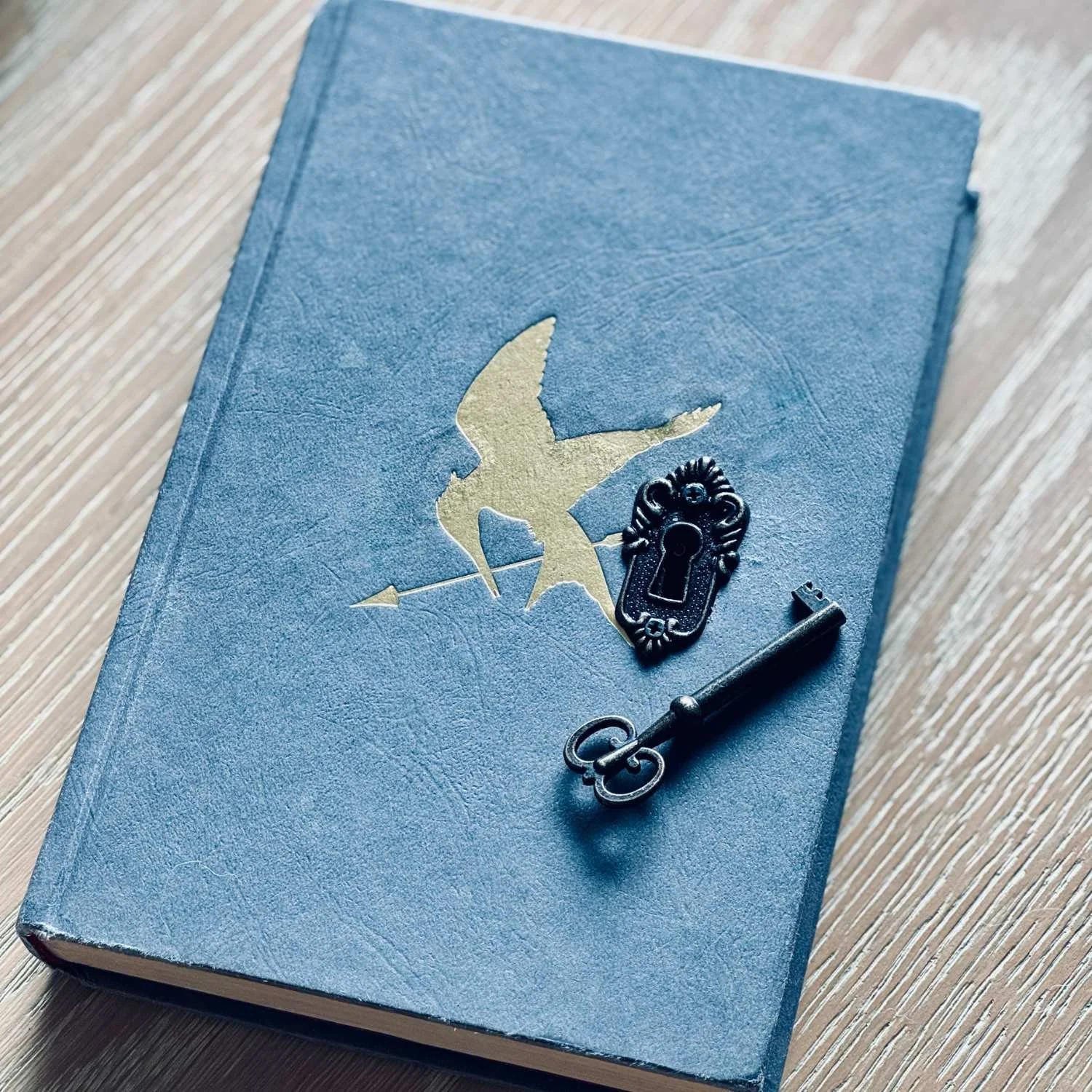 Hunger Games Book Safe_Lockable.jpg