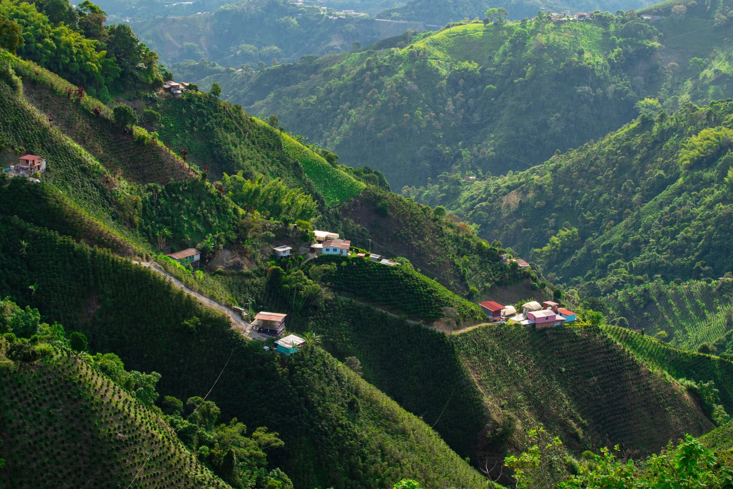 Green terraced hillside with small houses and winding roads in a mountainous landscape.