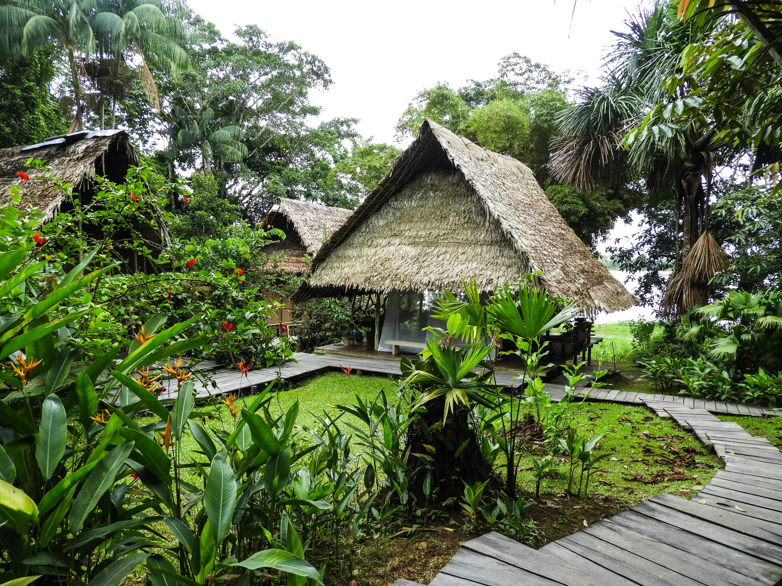 A tropical scene with traditional thatched-roof huts surrounded by lush green plants and trees, with a wooden pathway leading to the huts.