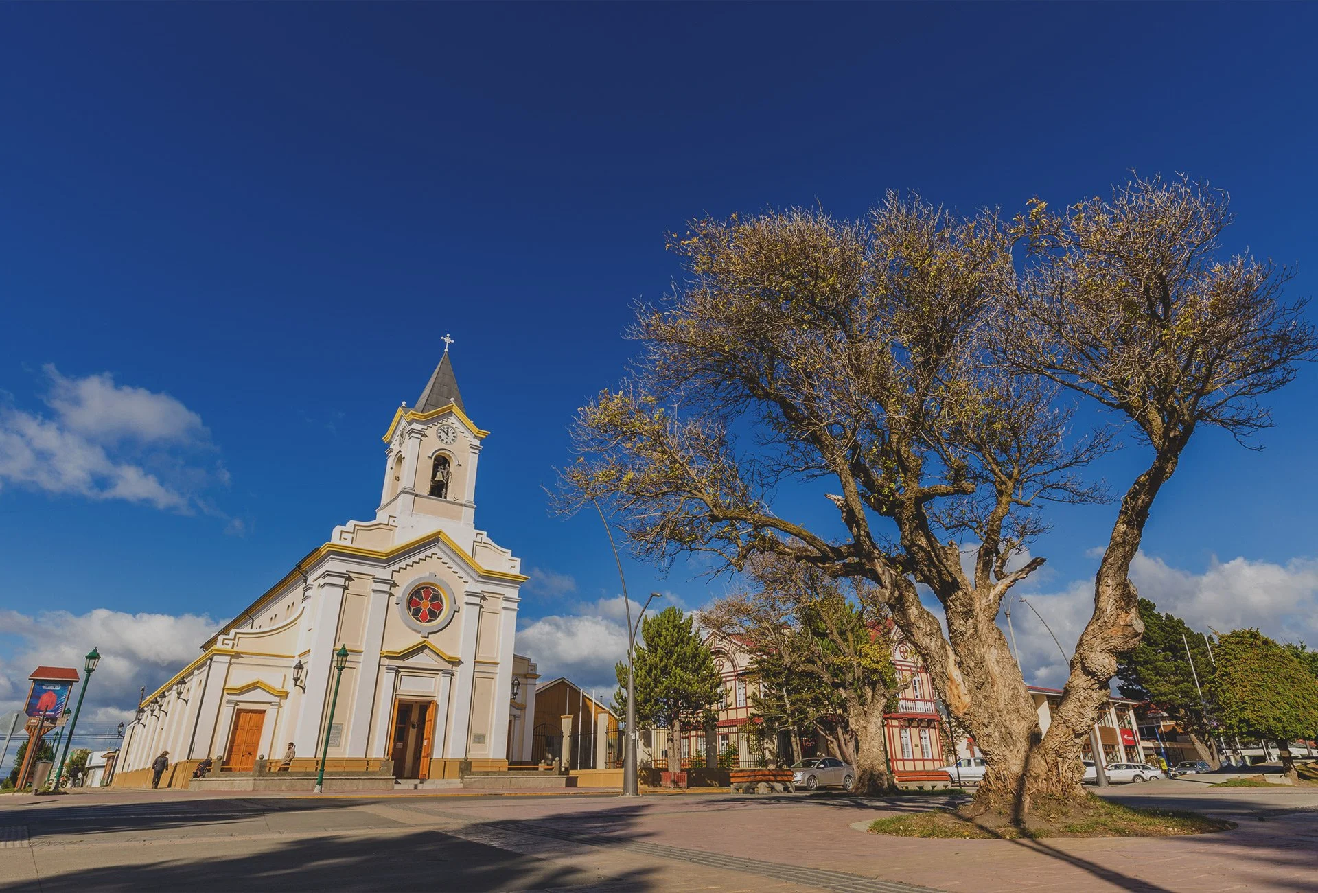 A white church with a tall steeple and clock, situated in a town square with a large leafless tree in the foreground and parked cars. Clear blue sky with some clouds.